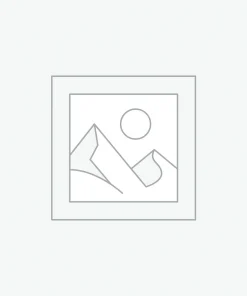 Uncategorized